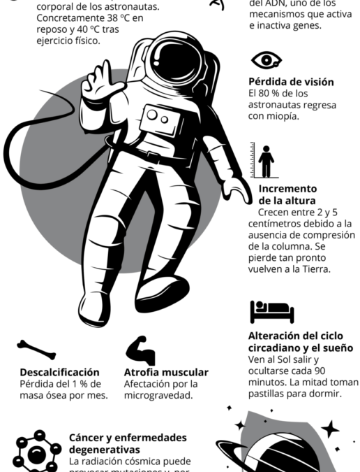 El funcionament del ulls