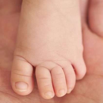 La ontogènesis de la sensibilitat