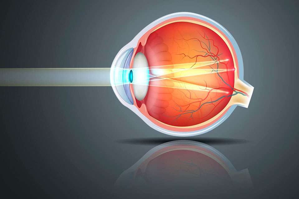 La Córnea, la Ventana del ojo