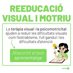 terapia visual edo optica vendrell
